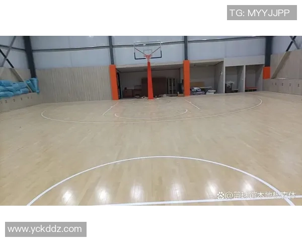 体育木地板十大品牌推荐及选购指南助您打造完美运动空间